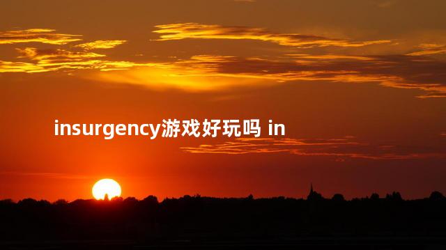 insurgency游戏好玩吗 insurgency怎么玩